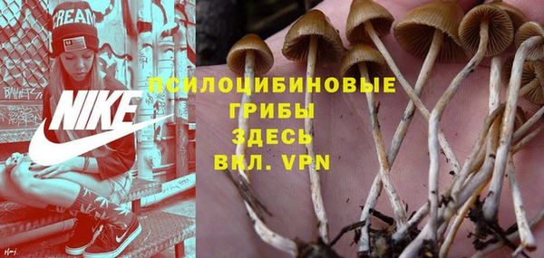 ECSTASY Одинцово