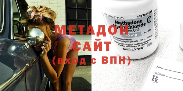прущие грибы Лабытнанги