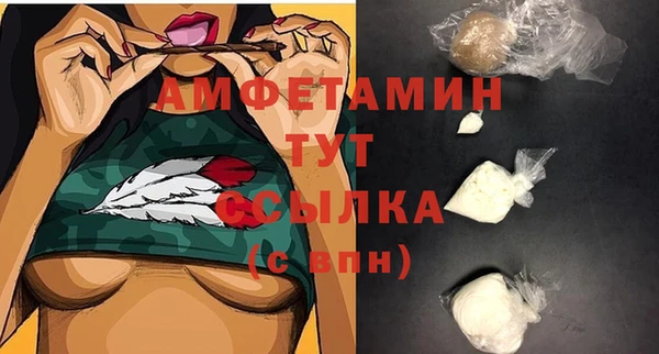 прущие грибы Лабытнанги
