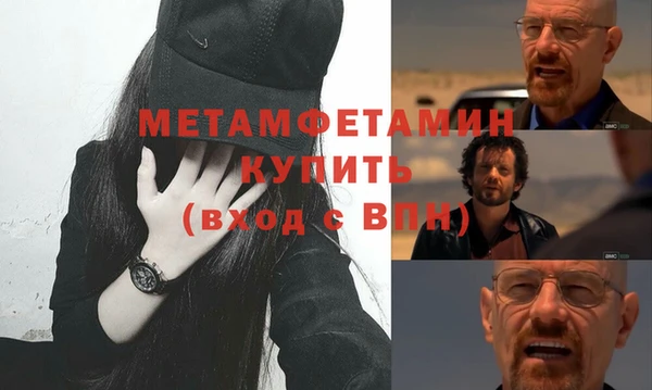прущие грибы Лабытнанги