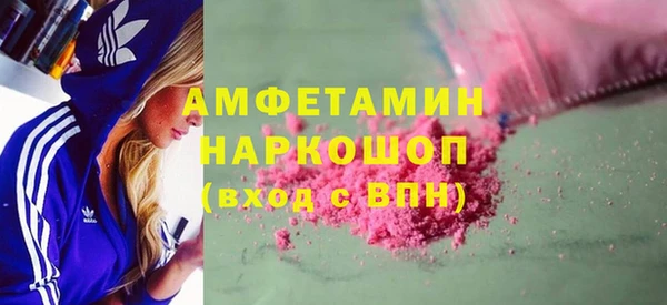 прущие грибы Лабытнанги